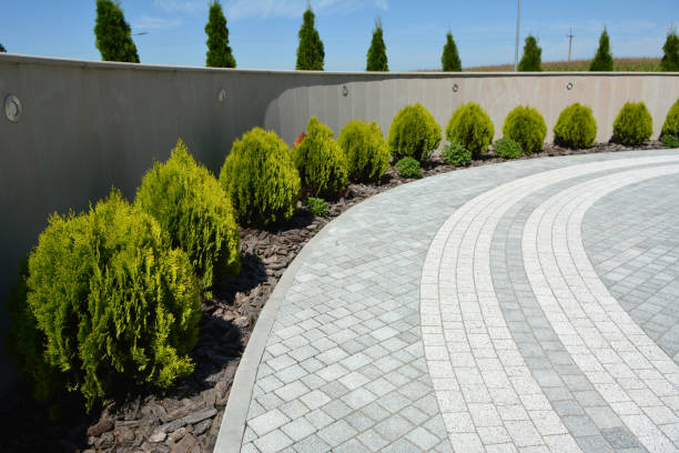 Best Permeable Paver Driveway  in Siesta Shores, TX