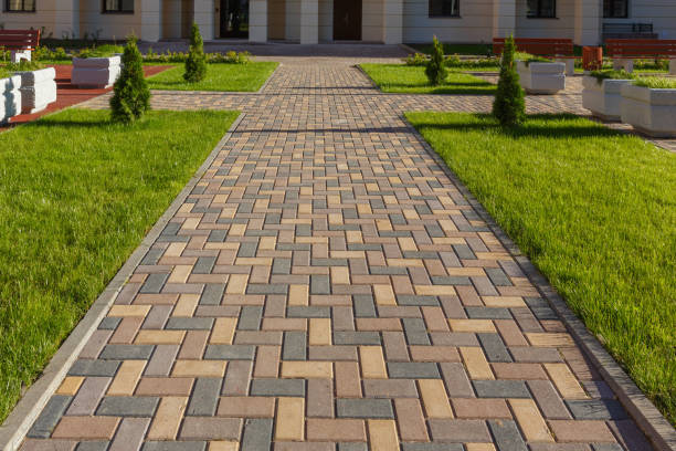 Best Driveway Pavers Near Me  in Siesta Shores, TX