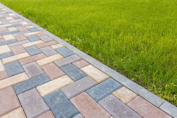 Best Local Driveway Pavers  in Siesta Shores, TX